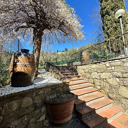 Agriturismo Tassinaia Pontassieve Dış mekan fotoğraf