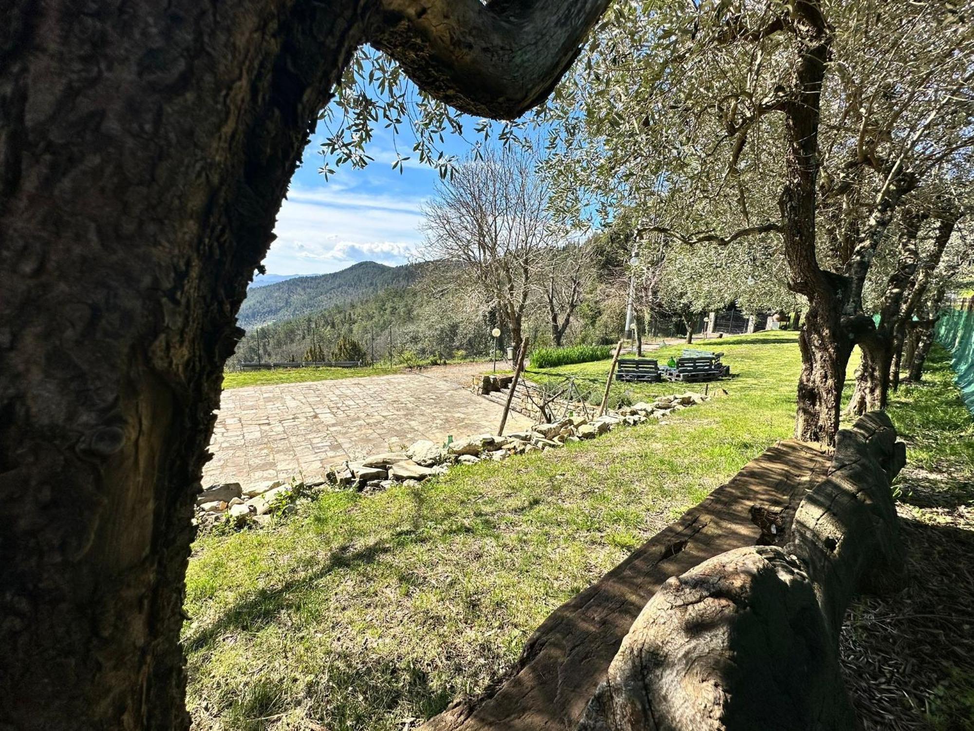Agriturismo Tassinaia Pontassieve Dış mekan fotoğraf
