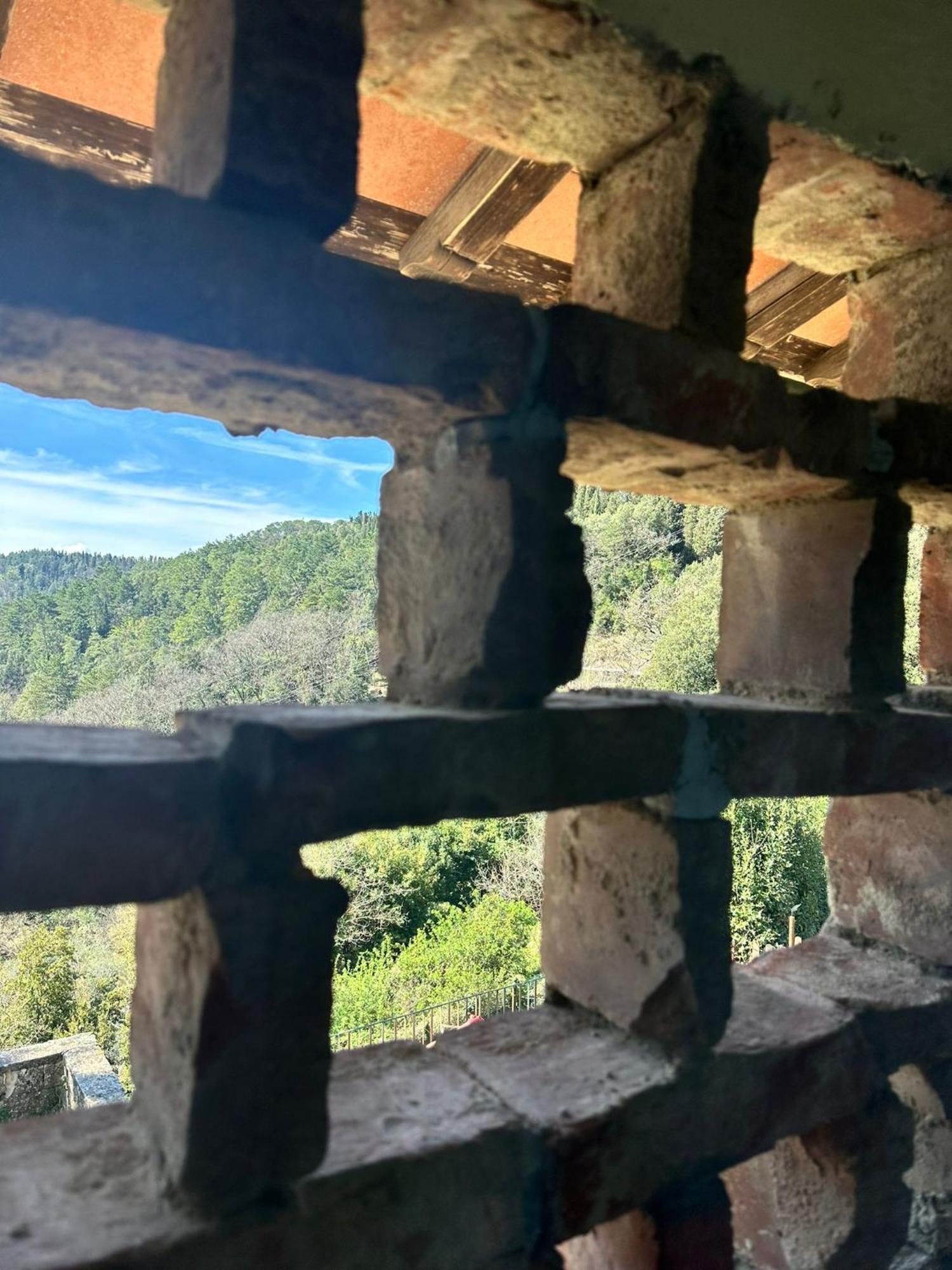 Agriturismo Tassinaia Pontassieve Dış mekan fotoğraf