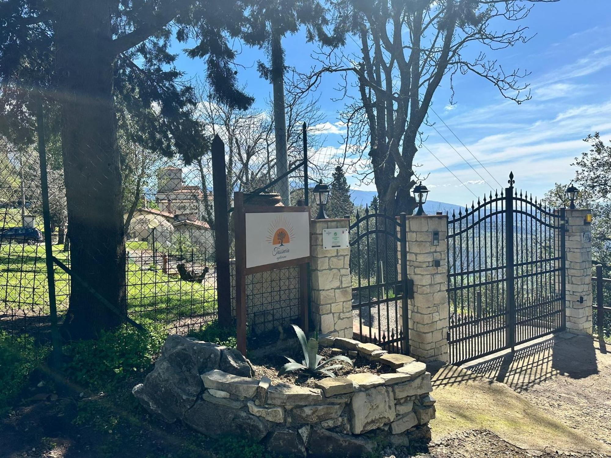 Agriturismo Tassinaia Pontassieve Dış mekan fotoğraf