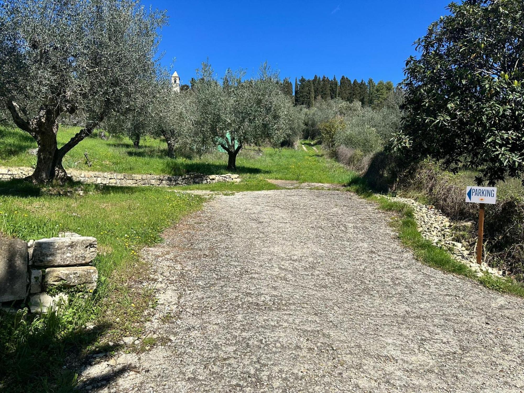Agriturismo Tassinaia Pontassieve Dış mekan fotoğraf